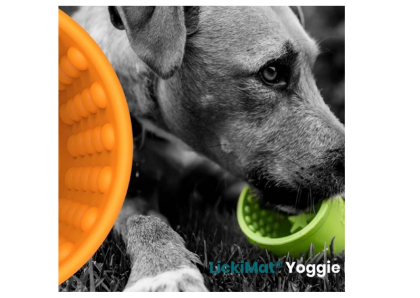 LickiMat Yoggie Pot grün