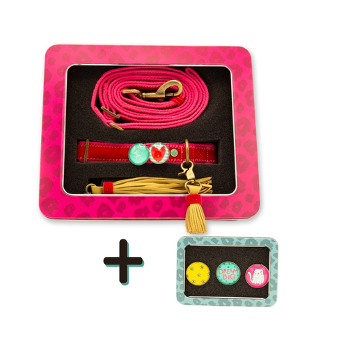 Set Halsband und Leine Velvet