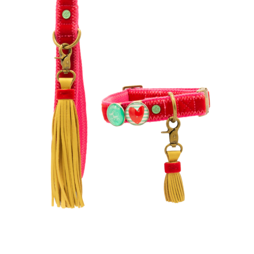 Set Halsband und Leine Velvet