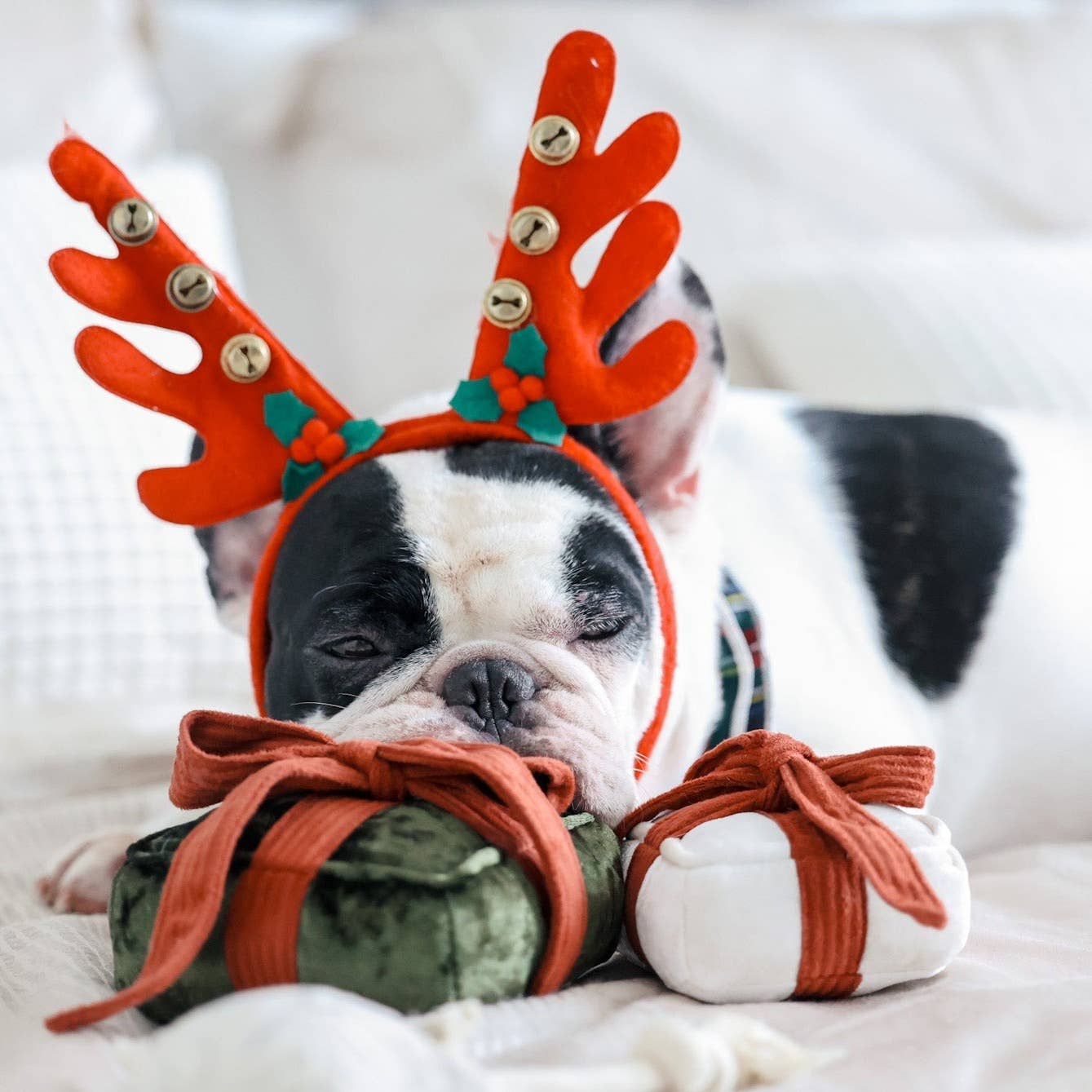 Spielzeug Weihnachtsgeschenk