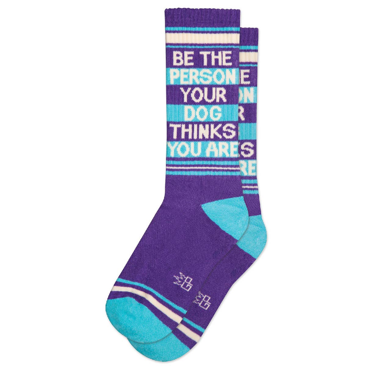 Ein Paar Socken in den Farben Türkis und Lila, mit weißer Aufschrift: Be the person your dog thinks you are.