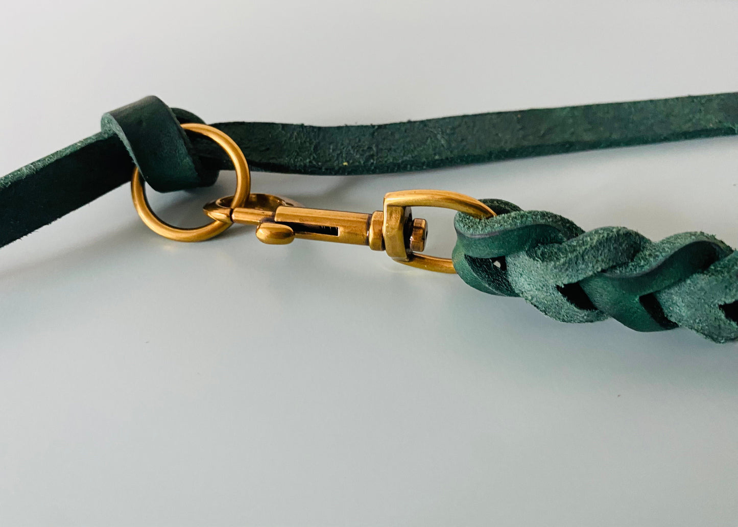 Karabiner in Gold, der in einen goldenen Ring eingehakt ist. Das Material der Leine ist Leder.