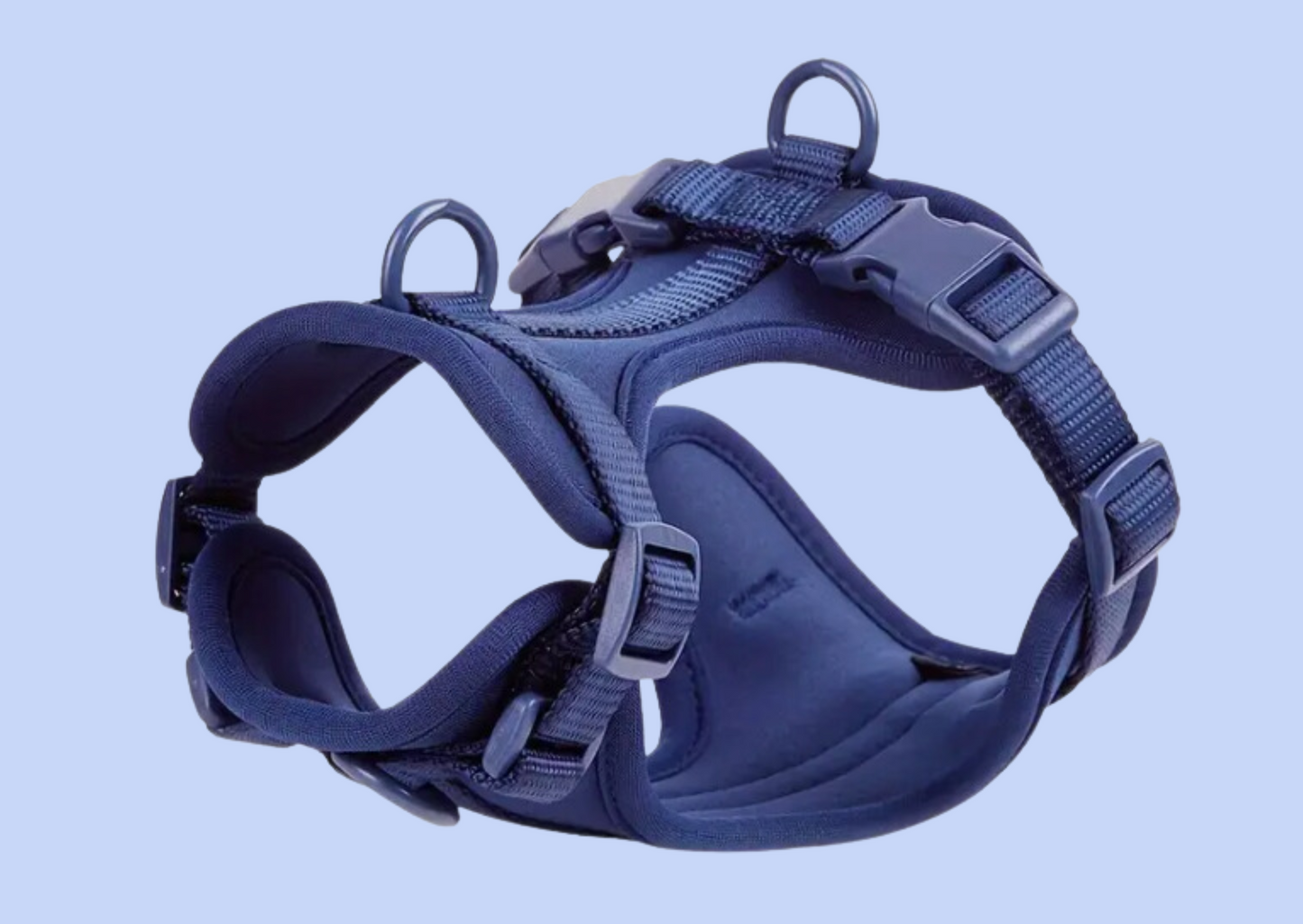 Hundegeschirr blau mit blauem Hintergrund