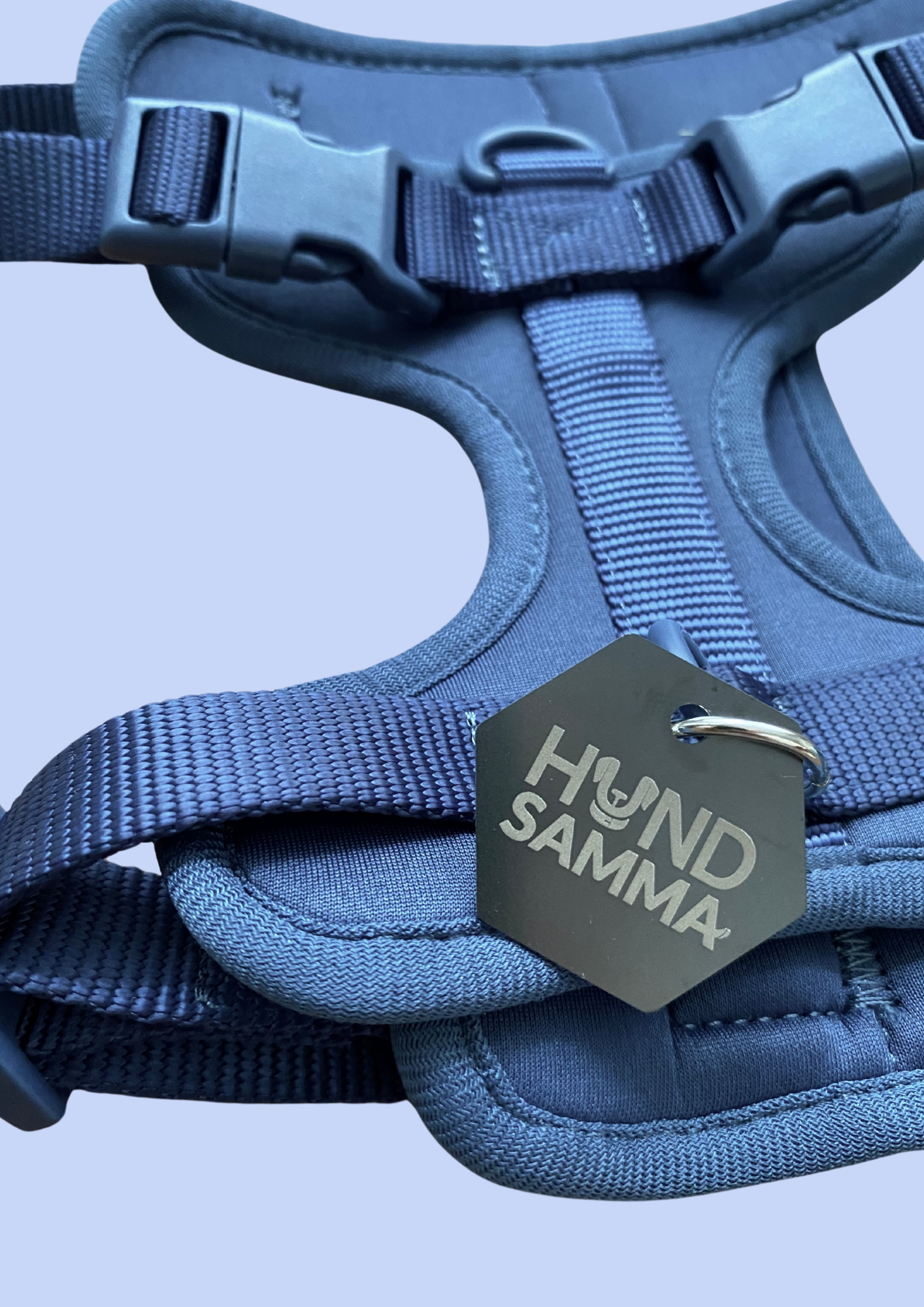Nahaufnahme Hundegeschirr in blau mit Namenstag Hundsamma