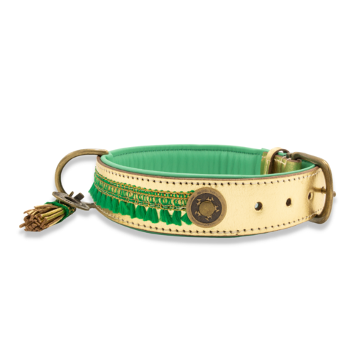Seitliche Ansicht von einem Hundehalsband in gold mit grünen Verzierungen.