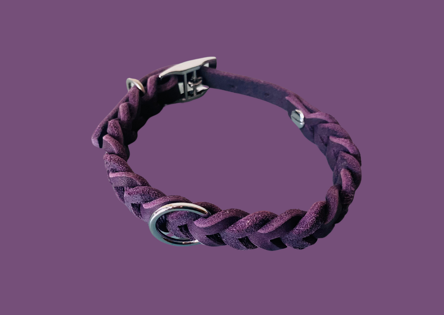 Halsband in llia mit silbernen Beschlägen vor lila Hintergrund .