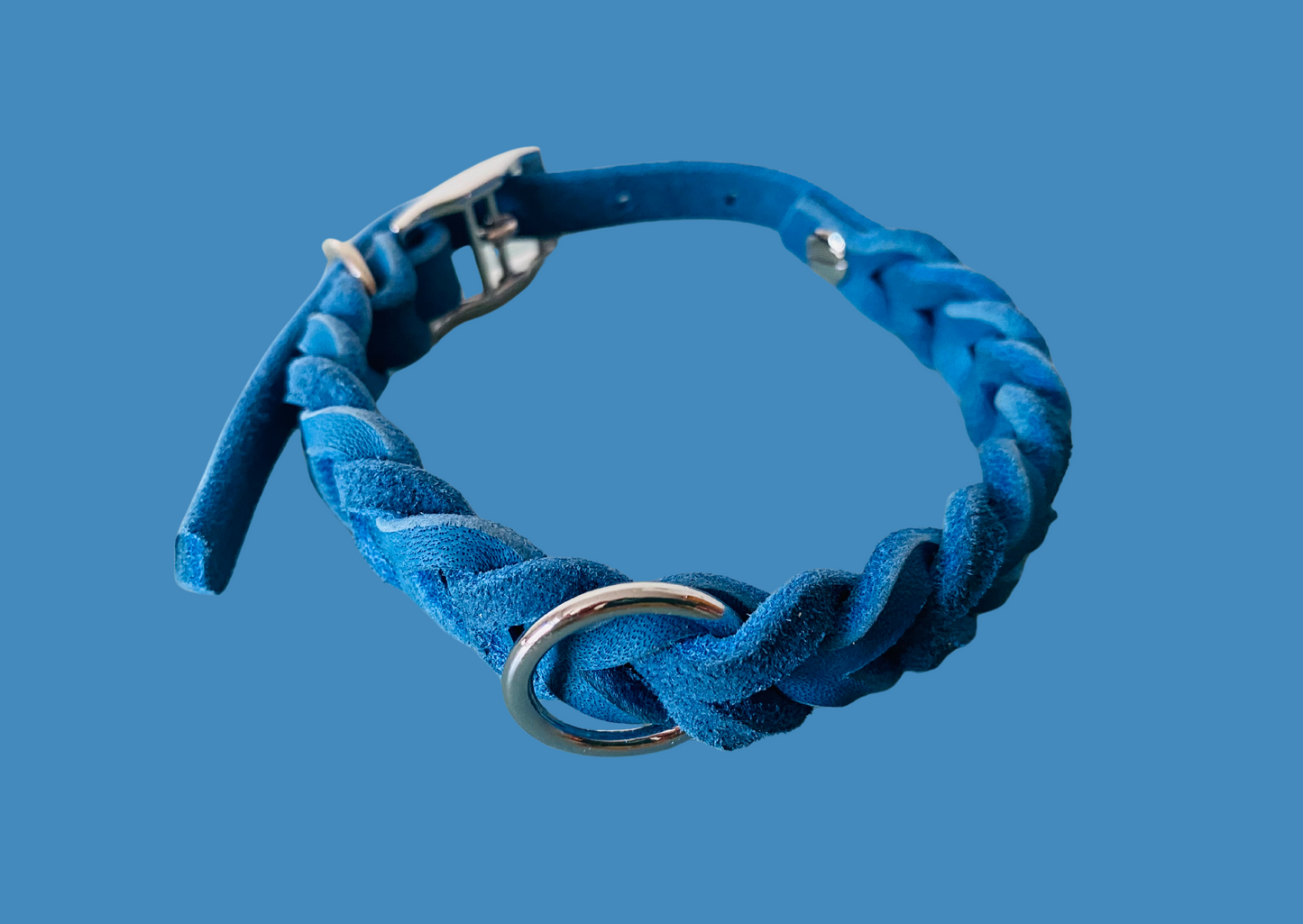 Ein blaues, geflochtenes Fettlederhalsband mit silberner Schnalle und Metallring, vor einem blauen Hintergrund
