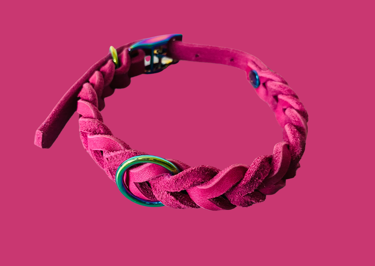 Ein magentafarbenes, geflochtenes Fettlederhalsband mit einem regenbogenfarbenen Metallring und einer passenden Schnalle, vor einem magentafarbenen Hintergrund.