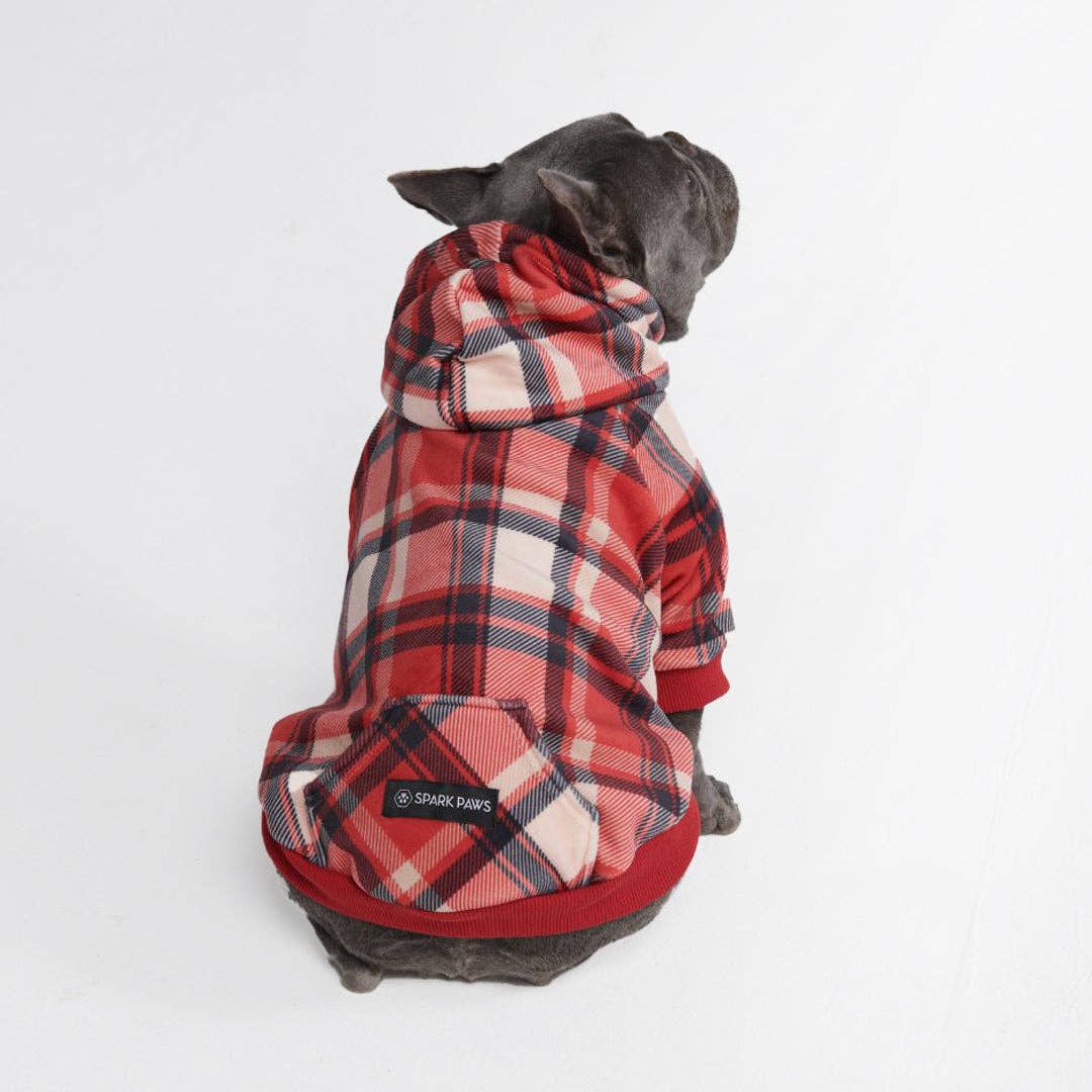 Graue Französische Bulldogge mit Hunde- Hoodie mit Karomuster in den Farben rot, schwarz und weiß.
