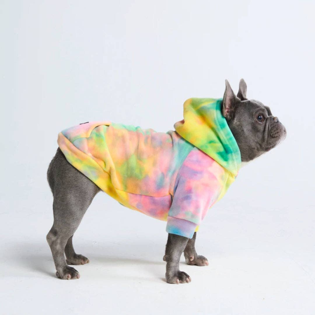 Französische Bulldogge mit Hundepullover mit Kapuze un d Batikmuster in den Farben gelb, grün, rosa und lila.