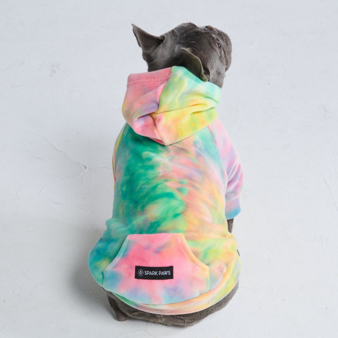 Hundepullover mit Kapuze und Batikmuster in den Farben gelb, grün, rosa und lila. Den Hoodie trägt eine sitzende Französische Bulldogge.