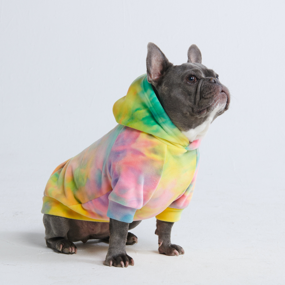 Hundepullover mit Kapuze und Batikmuster in den Farben gelb, grün, rosa und lila. Den Hoodie trägt eine sitzende Französische Bulldogge, die nach oben blickt.