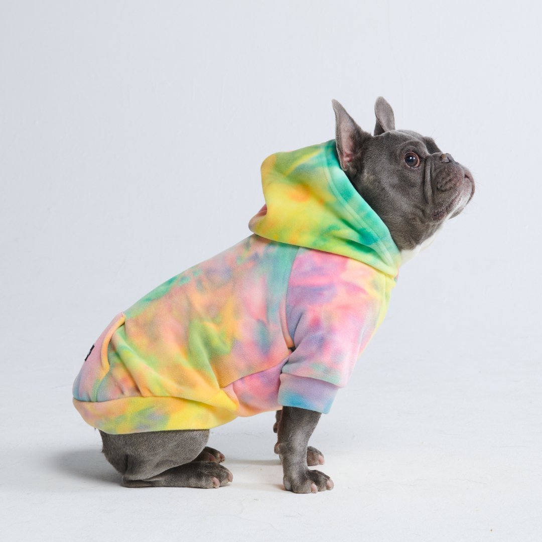 Hundepullover mit Kapuze und Batikmuster in den Farben gelb, grün, rosa und lila. Den Hoodie trägt eine sitzende Französische Bulldogge, die von der Seite fotografiert wurde.