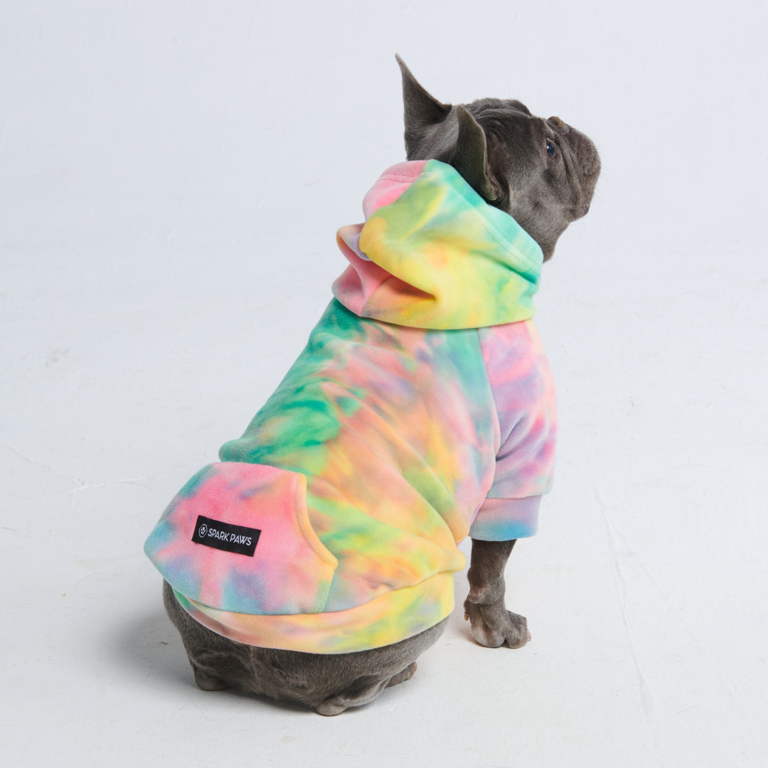 Hundepullover mit Kapuze und Batikmuster in den Farben gelb, grün, rosa und lila. Den Hoodie trägt eine sitzende Französische Bulldogge. Der Hoodie hat eine Bauchtasche.
