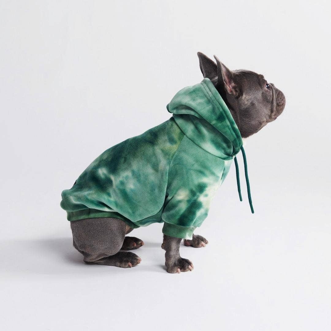 Französische Bulldogge mit Hundepullover in Batimuster in Smaragdgrün. Der Hundepullover ist ein Hoodie mit Kapuze.