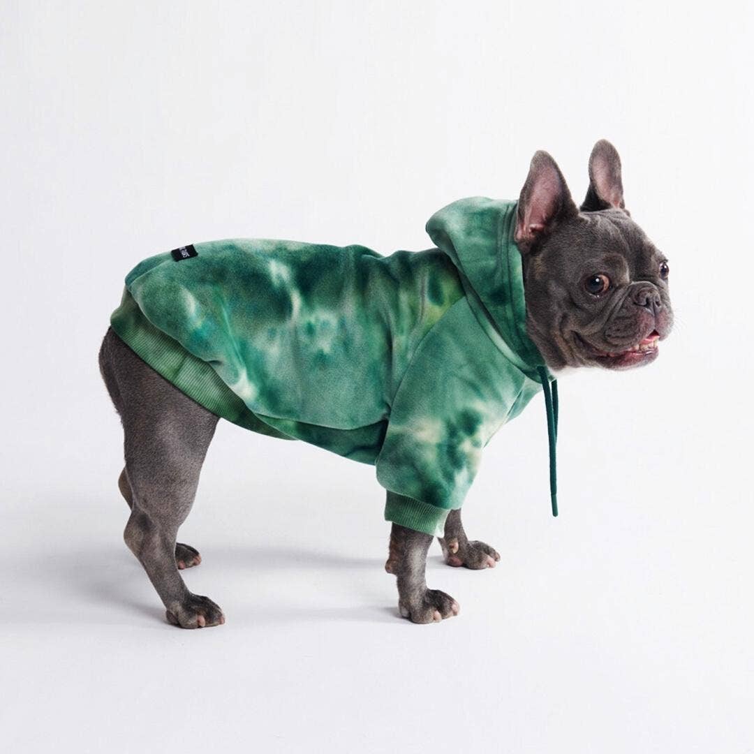 Französische Bulldogge mit Hundepullover in Batikmuster in Smaragdgrün. Der Hundepullover ist ein Hoodie mit Kapuze. Der Hund ist grau und steht.