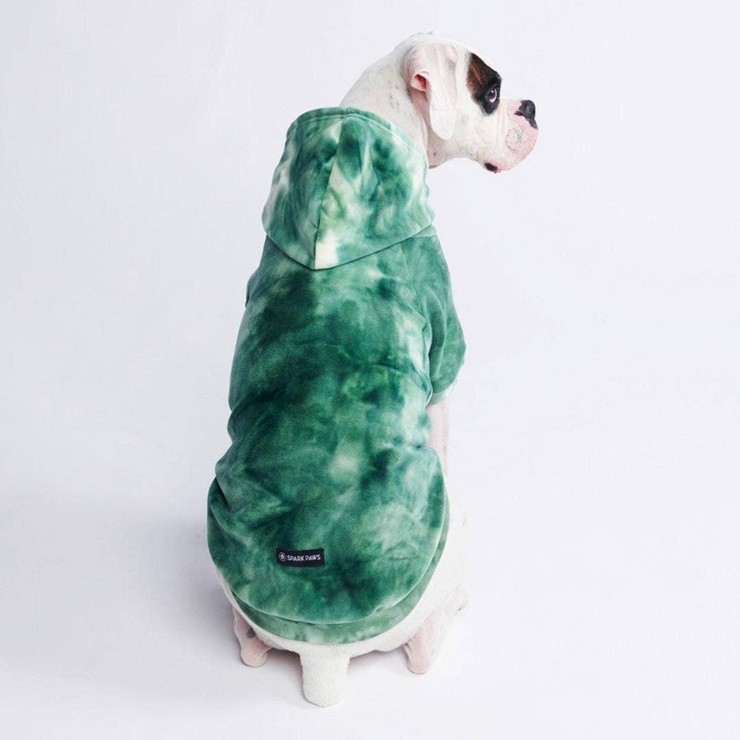 Weißer Boxer mit Hundepullover in Batikmuster in Smaragdgrün. Der Hundepullover hat eine Kapuze.
