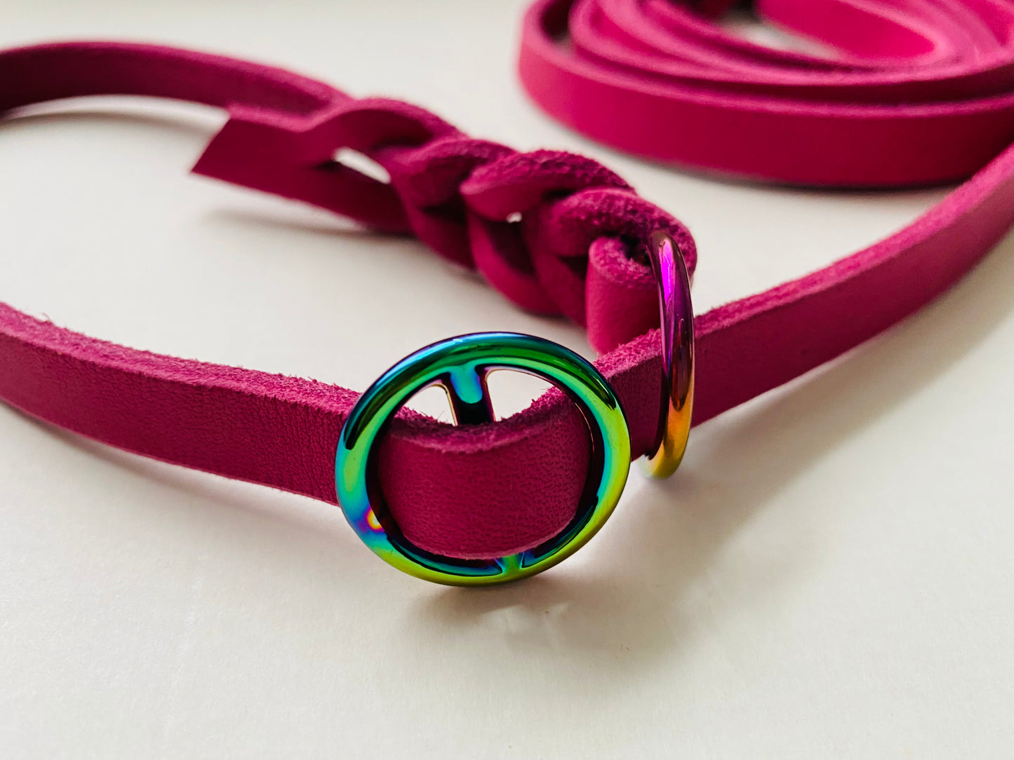 Retrieverleine Beere I Regenbogen