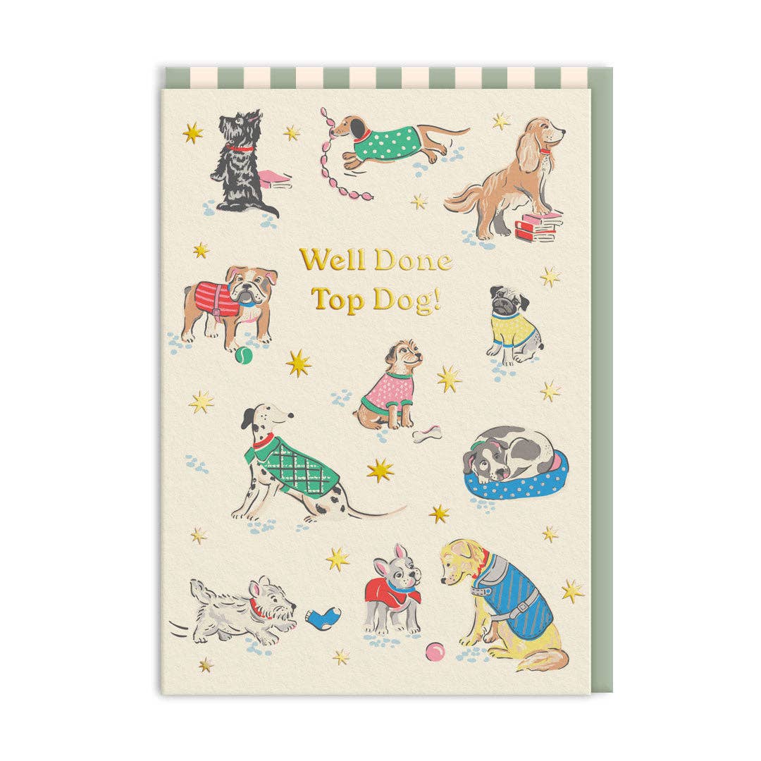 Klappkarte mit Umschalg. Auf der Vorderseite sind mehrere Hunde in bunten Farben abgebildet. Die Aufschrift sagt "Well done top dog!"