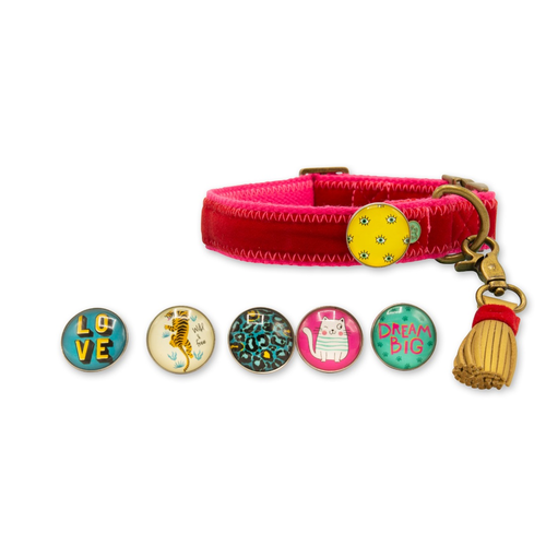 Set Halsband und Leine Velvet